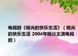 电视剧《杨光的快乐生活》（杨光的快乐生活 2004年杨议主演电视剧）