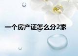 一个房产证怎么分2家