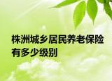 株洲城乡居民养老保险有多少级别