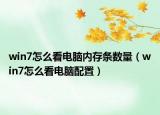 win7怎么看电脑内存条数量（win7怎么看电脑配置）