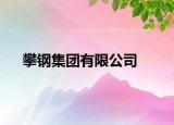攀钢集团有限公司