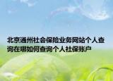 北京通州社会保险业务网站个人查询在哪如何查询个人社保账户