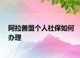 阿拉善盟个人社保如何办理