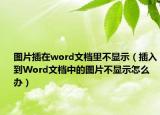 图片插在word文档里不显示（插入到Word文档中的图片不显示怎么办）