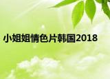 小姐姐情色片韩国2018
