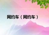 网约车（网约车）