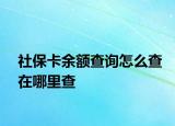 社保卡余额查询怎么查在哪里查