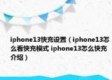 iphone13快充设置（iphone13怎么看快充模式 iphone13怎么快充介绍）