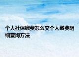 个人社保缴费怎么交个人缴费明细查询方法