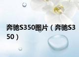 奔驰S350图片（奔驰S350）