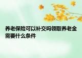 养老保险可以补交吗领取养老金需要什么条件