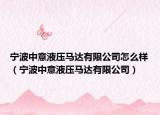 宁波中意液压马达有限公司怎么样（宁波中意液压马达有限公司）