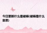 今日更新什么是被褥(被褥是什么意思)