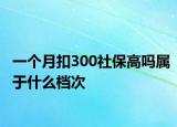 一个月扣300社保高吗属于什么档次