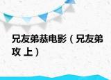 兄友弟恭电影（兄友弟攻 上）