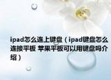 ipad怎么连上键盘（ipad键盘怎么连接平板 苹果平板可以用键盘吗介绍）