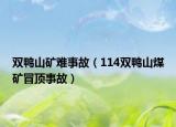 双鸭山矿难事故（114双鸭山煤矿冒顶事故）