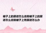 被子上的尿迹怎么去除被子上的尿迹怎么去除被子上有尿迹怎么办