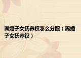 离婚子女抚养权怎么分配（离婚 子女抚养权）