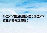 小型ktv营业执照办理（小型ktv营业执照办理流程）