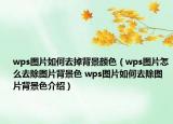 wps图片如何去掉背景颜色（wps图片怎么去除图片背景色 wps图片如何去除图片背景色介绍）