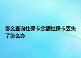 怎么查询社保卡余额社保卡丢失了怎么办