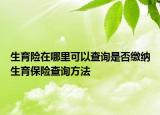 生育险在哪里可以查询是否缴纳生育保险查询方法