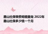 眉山社保缴费明细查询 2022年眉山社保多少钱一个月