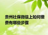 贵州社保微信上如何缴费有哪些步骤