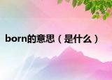 born的意思（是什么）