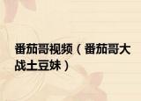 番茄哥视频（番茄哥大战土豆妹）