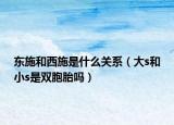 东施和西施是什么关系（大s和小s是双胞胎吗）