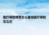 医疗保险缴费怎么查询医疗保险怎么交
