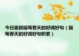 今日更新描写春天的好词好句（描写春天的好词好句积累）