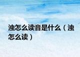 浊怎么读音是什么（浊怎么读）