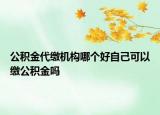 公积金代缴机构哪个好自己可以缴公积金吗