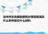 沧州市生育保险报销办理需要满足什么条件提交什么材料