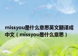 missyou是什么意思英文翻译成中文（missyou是什么意思）