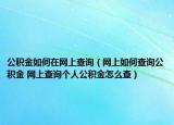 公积金如何在网上查询（网上如何查询公积金 网上查询个人公积金怎么查）