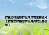 群主怎样删除群里成员发出的图片（群主怎样删除群里成员发出的信息）