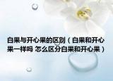 白果与开心果的区别（白果和开心果一样吗 怎么区分白果和开心果）