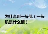 为什么叫一头肌（一头肌是什么梗）