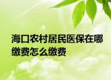 海口农村居民医保在哪缴费怎么缴费