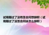 试用期过了没有签合同想辞职（试用期过了没签合同该怎么辞职）