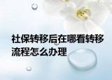 社保转移后在哪看转移流程怎么办理