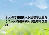 个人所得税纳税人识别号怎么查询（个人所得税纳税人识别号怎么查询）