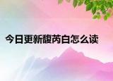 今日更新馥芮白怎么读