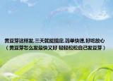 黄豆芽这样发,三天就能搞定,简单快速,好吃放心（黄豆芽怎么发最快又好 轻轻松松自己发豆芽）
