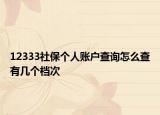 12333社保个人账户查询怎么查有几个档次