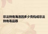 非法持有海洛因多少克构成非法持有毒品罪
